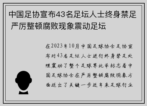 中国足协宣布43名足坛人士终身禁足 严厉整顿腐败现象震动足坛